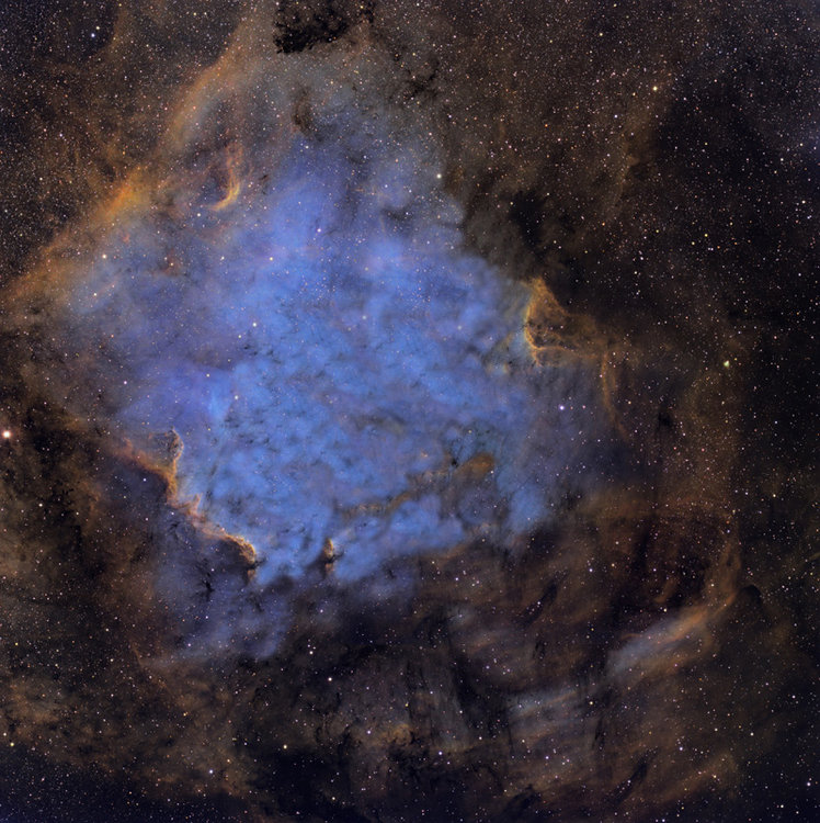683561981_ngc7000nettoy.thumb.jpg.dcdce3647e2b6bb8f8197eec243dee86.jpg