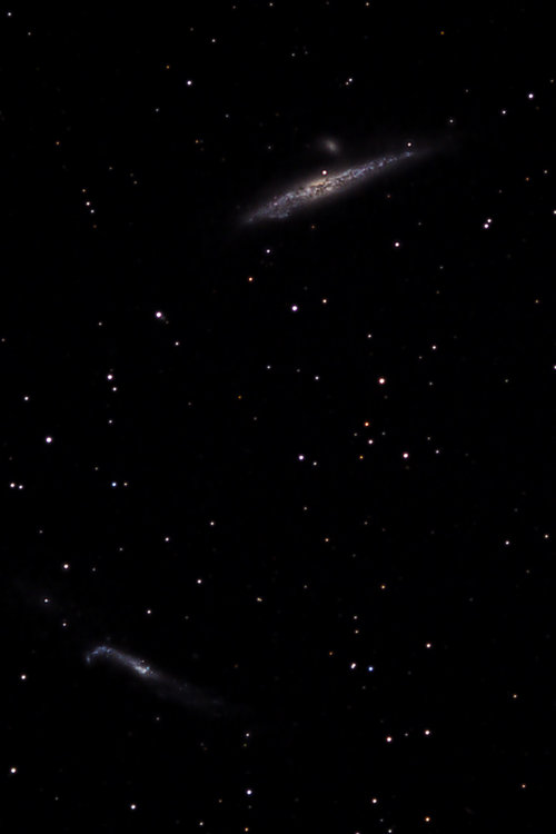 774388828_NGC4631baleineavecMichel_rectangle.thumb.jpg.ad3b93568204171eceac26f46f894ad6.jpg
