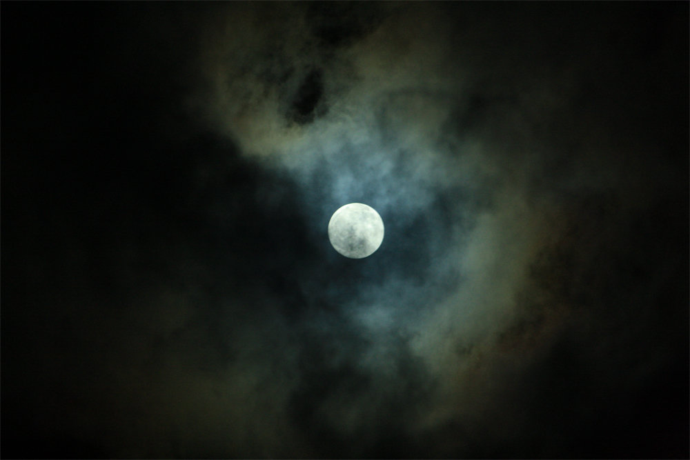 IMG_4610.thumb.jpg.f42a9a18fe767683d52a4bcb61cee45f.jpg