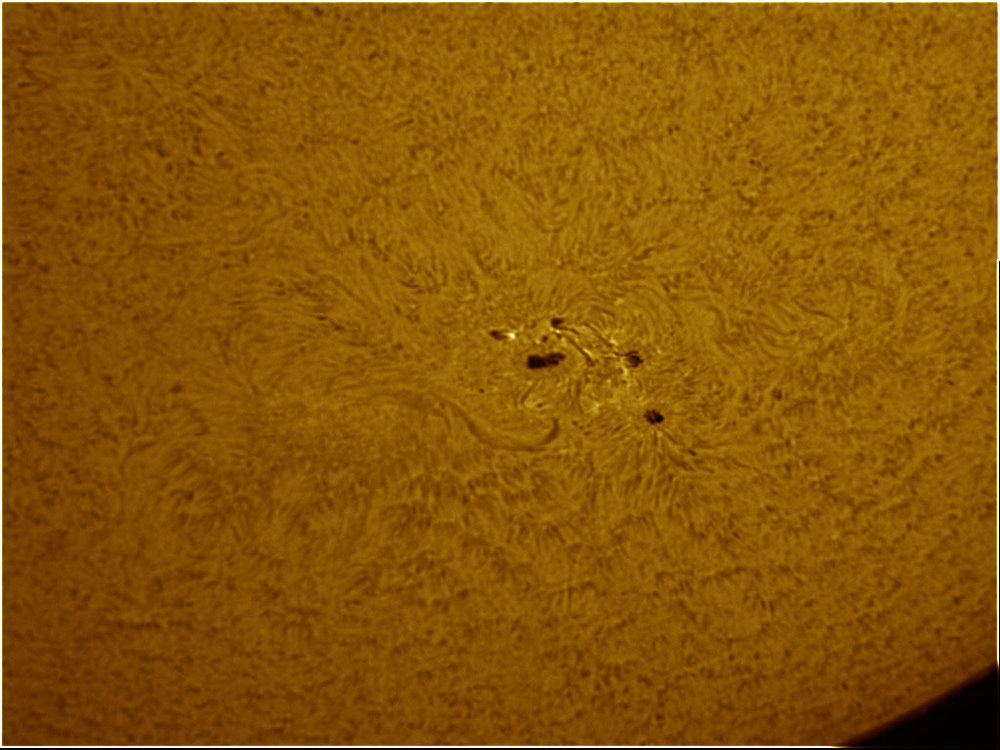 Solaire_4_Color.thumb.jpg.833831d26f0f371b53f07601f67ccb46.jpg