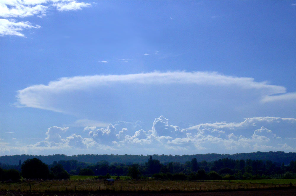 _DSC0908w.thumb.jpg.7706acf706ee19cdb67986d717a2b726.jpg