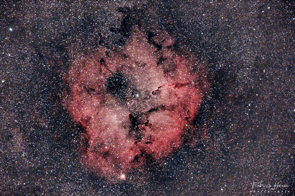 20200515_IC 1396 - Trompe Elephant.jpg