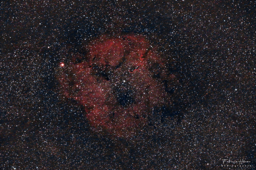 20200522_IC 1396 - TROMPE ELEPHANT_001.jpg