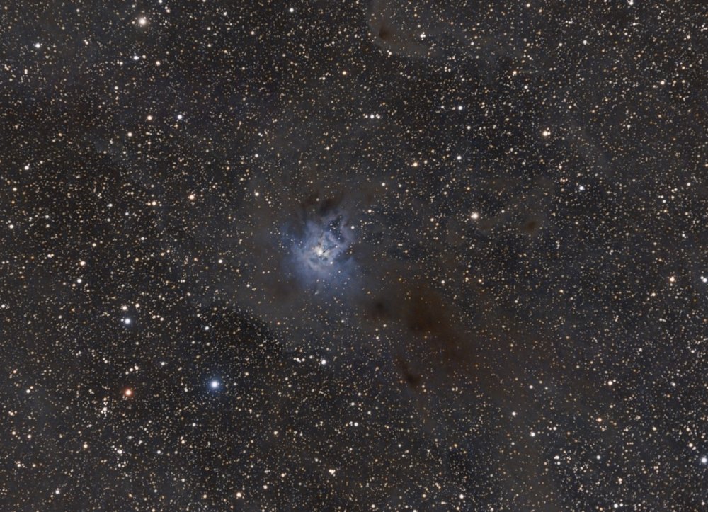 NGC_7023 NL_crop.jpg