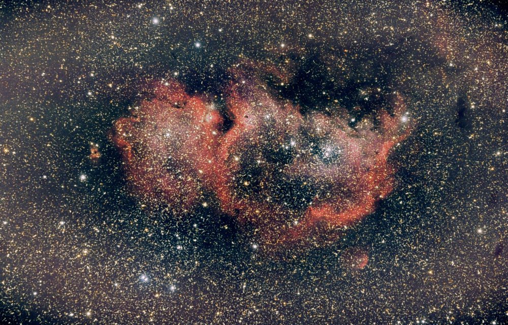 IC_1848_NL_crop.jpg