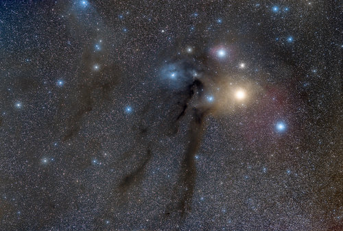 Rho Ophiuchi Astroguindaine 140521.jpg