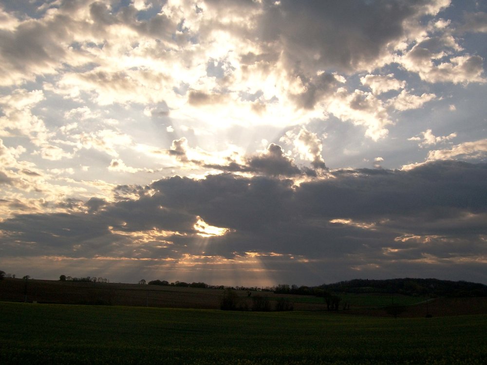 100_8639w.thumb.jpg.dd6e0b86f3e6c38125fad5ac073ef5eb.jpg