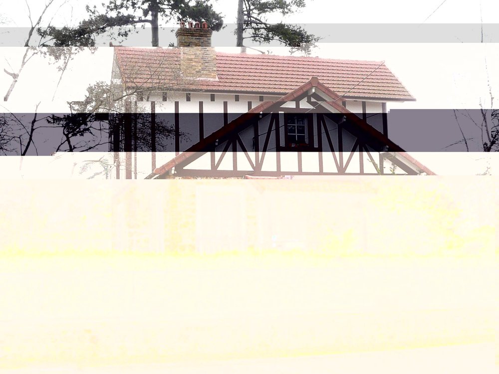 745031262_photosmaison1.thumb.jpg.0e01ba3ed5cb79a5c0e6e183dc613f70.jpg