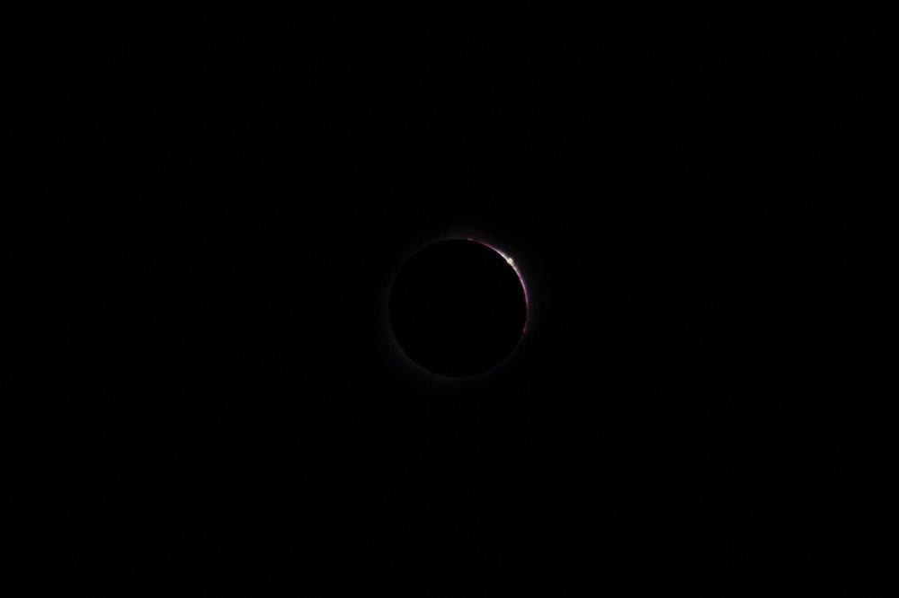 Image-1-1.thumb.jpg.dfdd49ee6c7c436b57d2707230e6d9fe.jpg