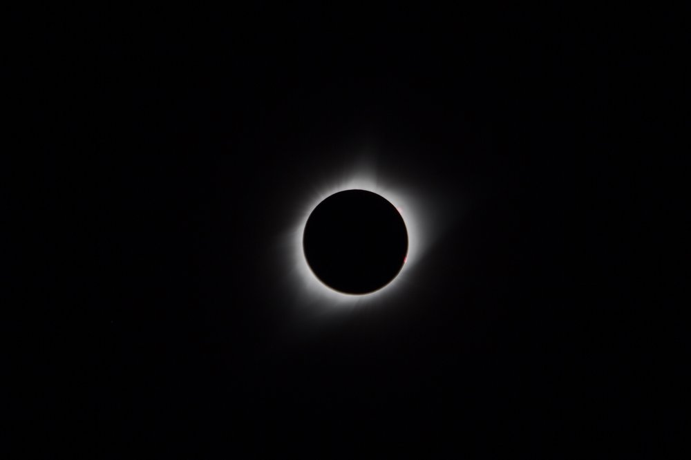 Image-1-5.thumb.jpg.6178b0ea787bc8670ac0c92f82424a42.jpg