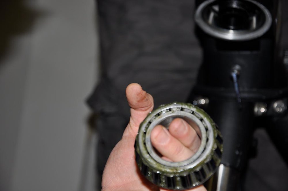 _DSC0010_01.thumb.jpg.fd6079df344a4df32d59d146c38e54b6.jpg