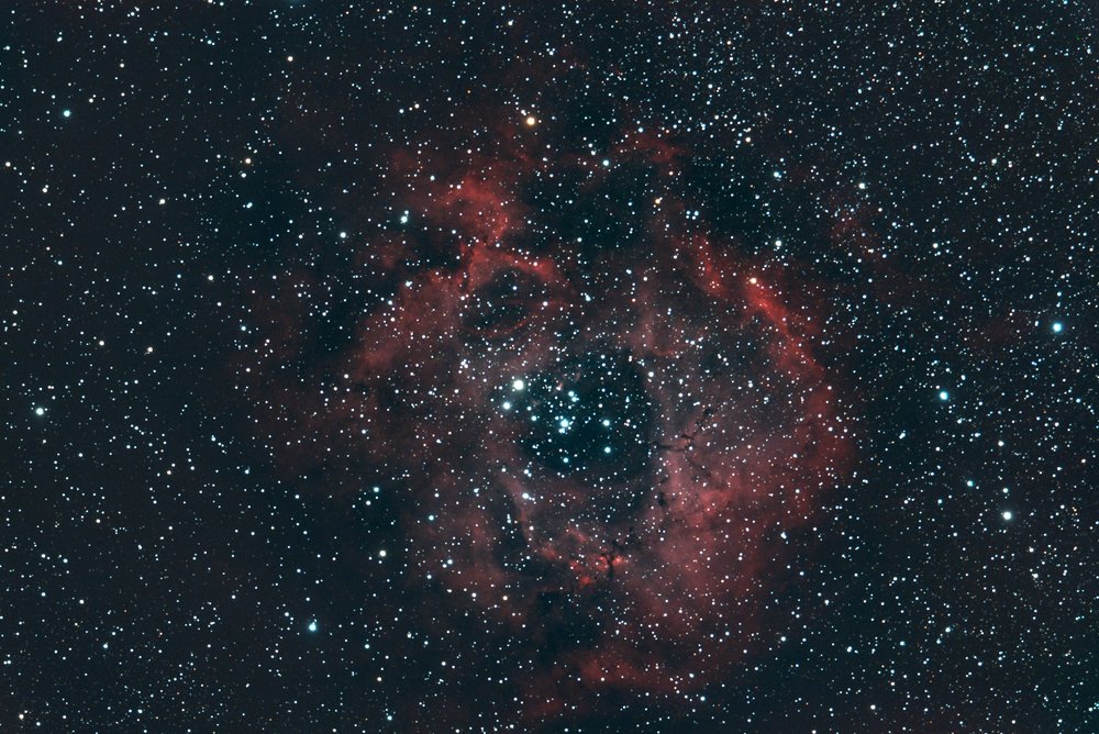 rosette.thumb.jpg.a1f07c737800f22a96e57e9142e16350.jpg