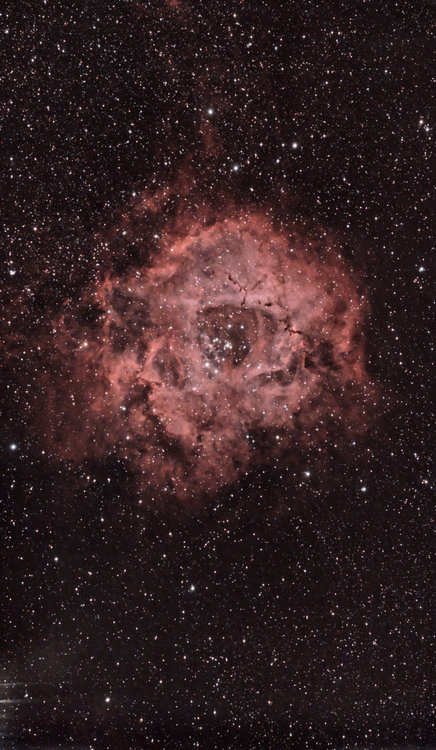 NGC2237.jpg