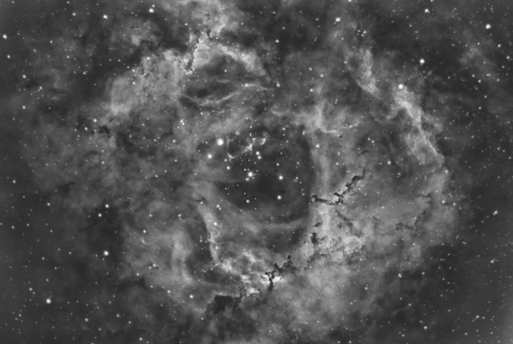 NGC2244.jpg