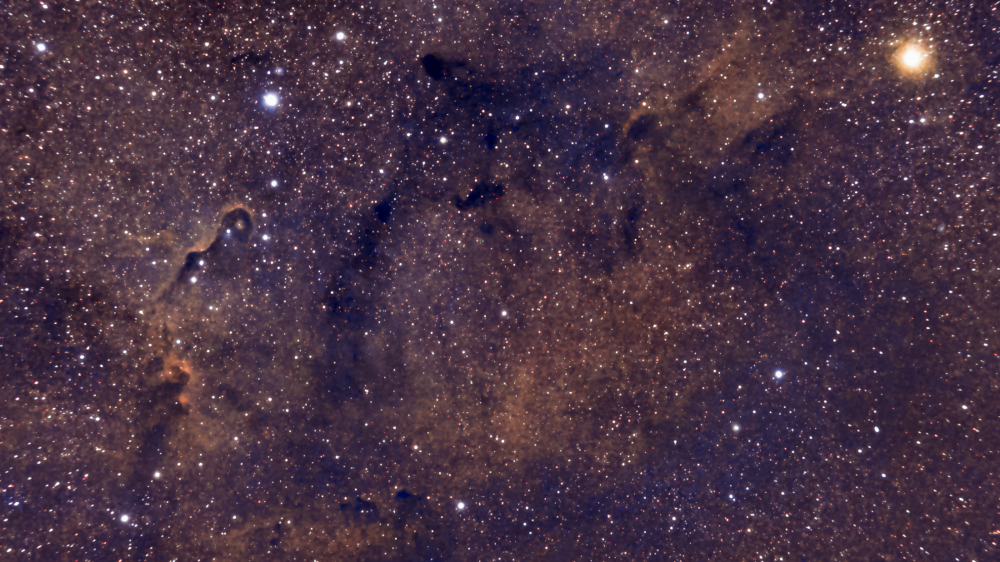 Trompe d'éléphant 48x180s 2 .png