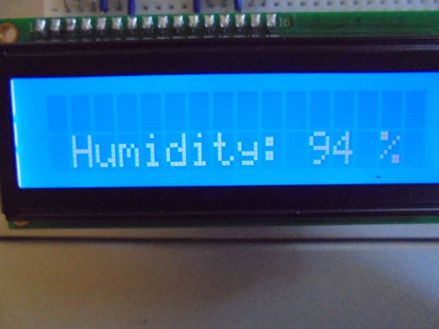 DSC00512.JPG.e7c0453c8b7734801e452b9cbf39b237.JPG