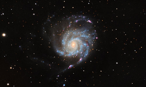 M101w.jpg