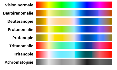 Spectre-des-couleurs.png