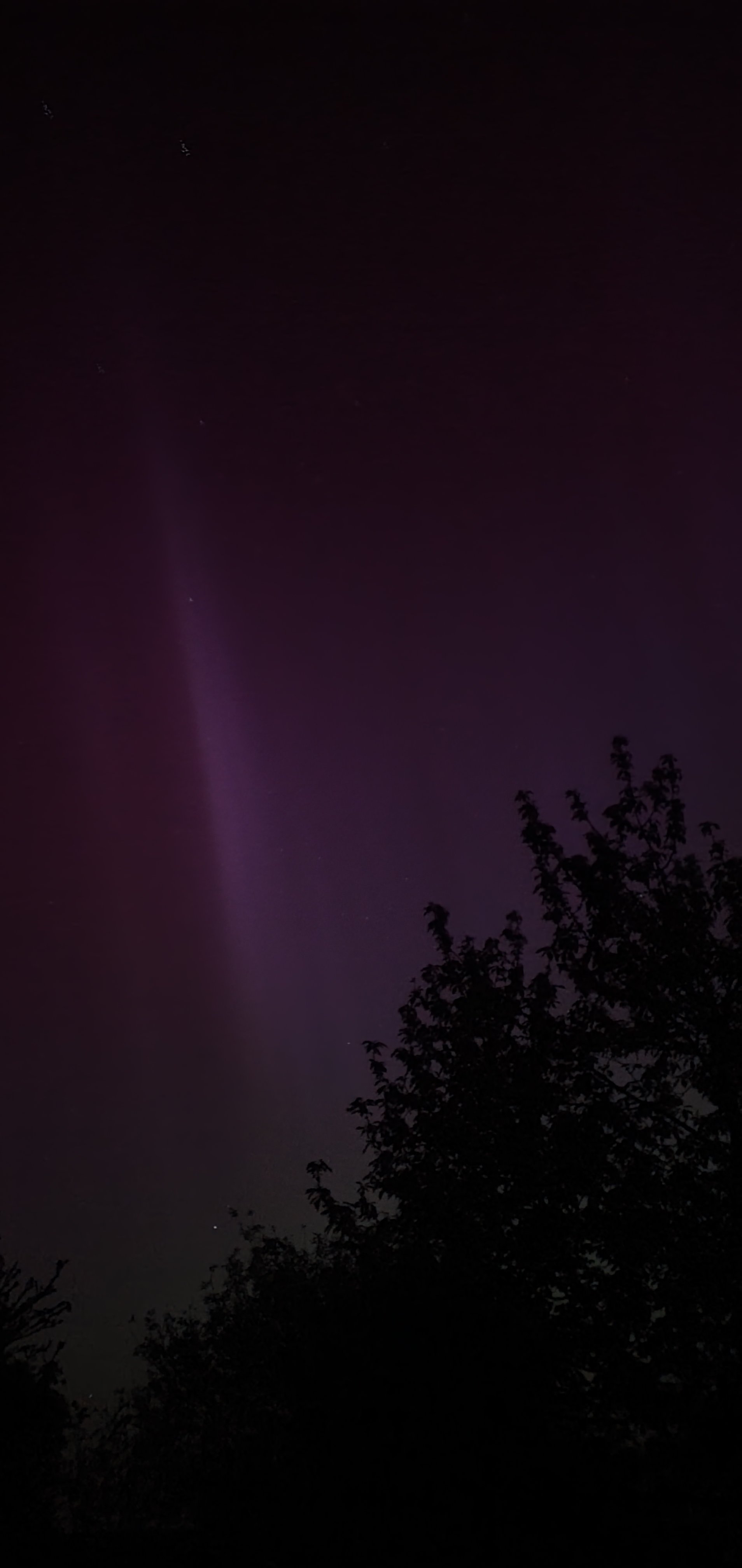 20240511_005038.jpg
