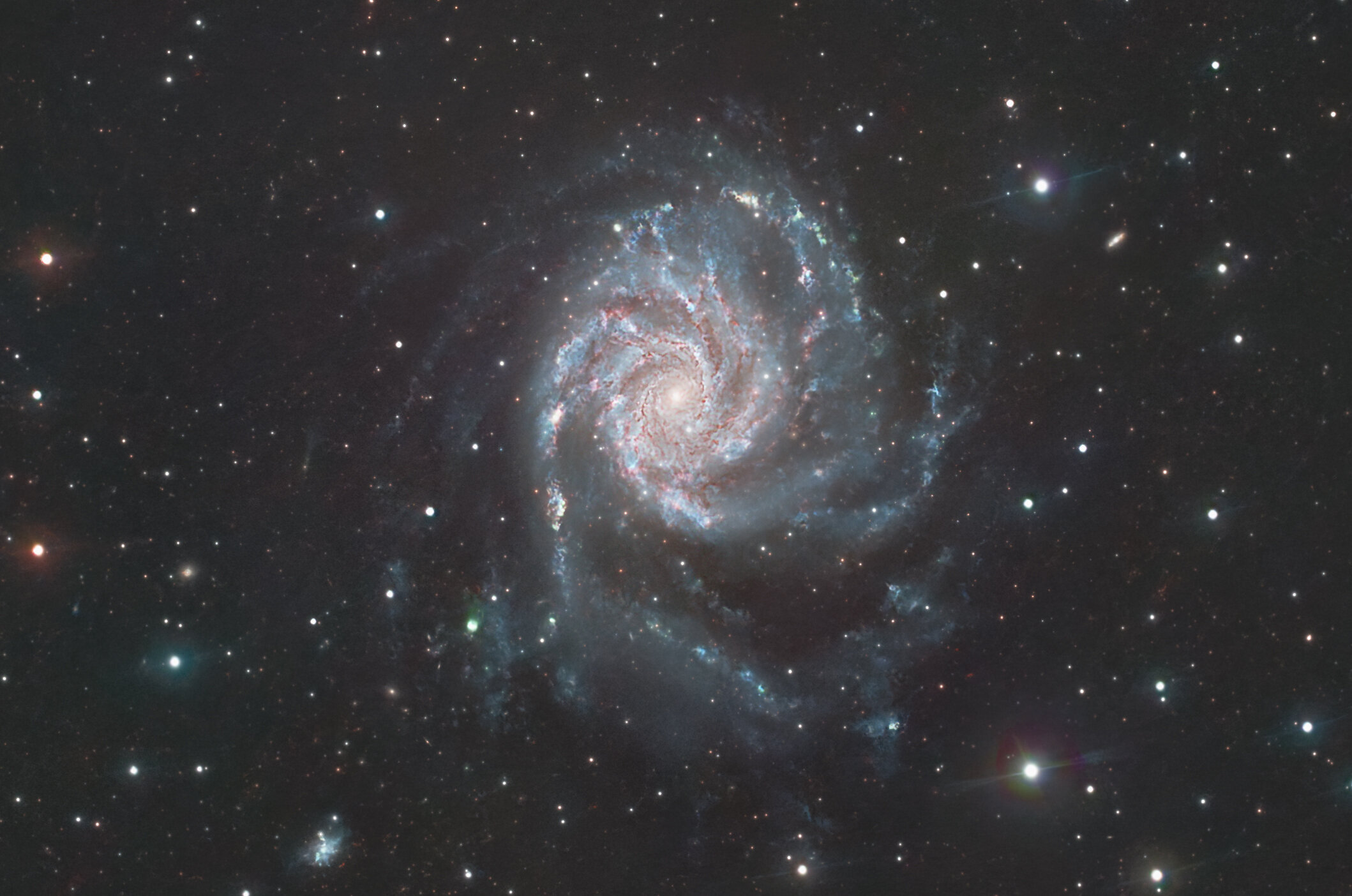 m101-crop.jpg